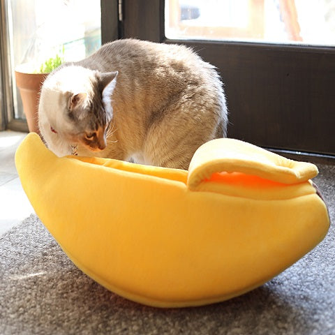 Large Luxury Items
