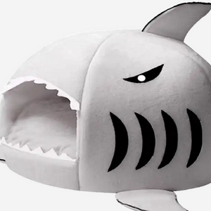 Shark Cave