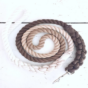 Ombre Leash